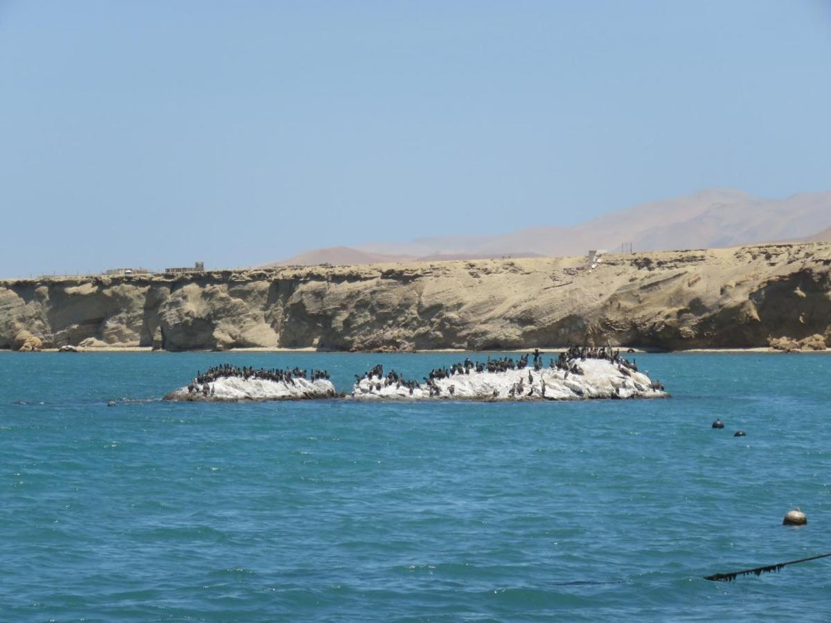 Paracas Apartment מראה חיצוני תמונה